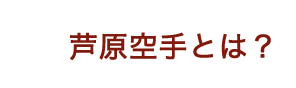 芦原空手とは？